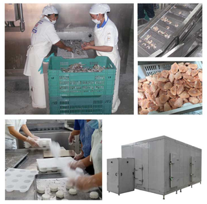 Congélateur rapide fluidisé TCA 100-3000 kg/h Uniforme <span class=keywords><strong>de</strong></span> congélation unique Aliments surgelés Pois surgelés Frites Pépites <span class=keywords><strong>de</strong></span> poulet - Product Image 6