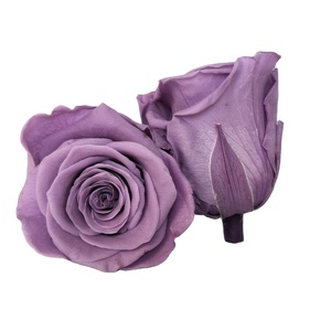 Venta de Fábrica: Cabezas de Rosas Preservadas de 4-5CM, 8 Unidades, Flores Rojas de Larga Duración, Material para DIY - Product Image 5