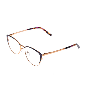 Sản Phẩm Bán Chạy Khung Kính Mắt Kỹ Thuật Sơn <span class=keywords><strong>3D</strong></span> Khung Quang Học Kim Loại Kính Thép Không Gỉ Cổ Phiếu - Product Image 5