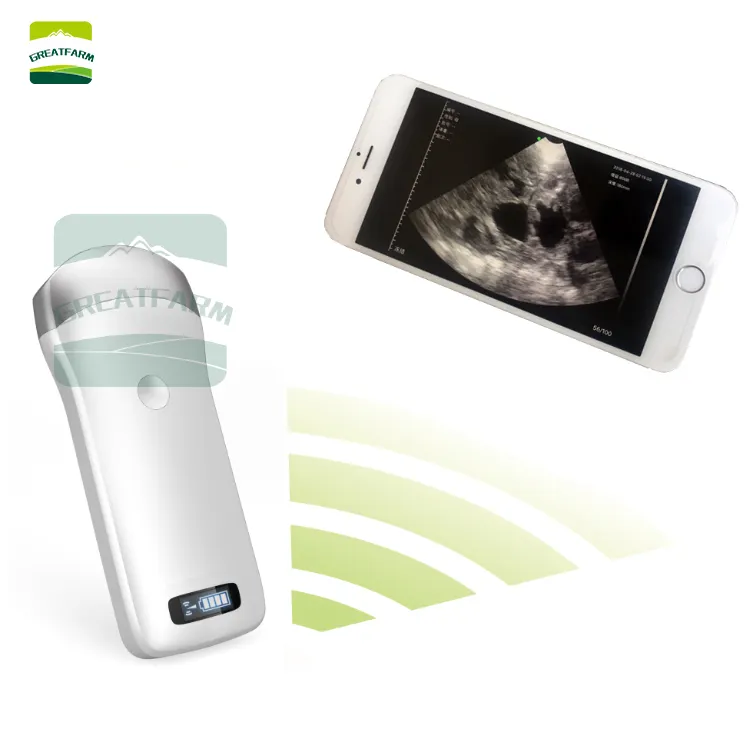 Ultrasuoni portatili B ultrasuoni Wireless B per il rilevamento del bestiame della gravidanza animale macchina ad ultrasuoni B utilizzata dalla veterinaria