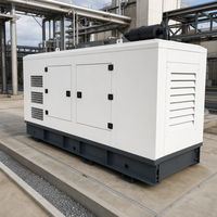Groupe électrogène diesel silencieux 30 kVA pour alimentation de base LINGGE Triphasé 400 V 60 Hz