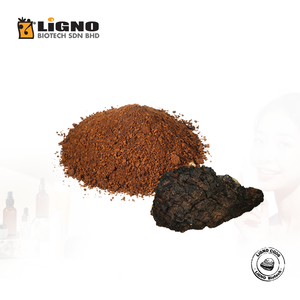 ผู้ผลิตมาเลเซีย ชาชากา LiGNO CG06 ได้รับการรับรองฮาลาลและโคเชอร์ เกรดเครื่องดื่ม รับผลิตแบบ OEM ODM สารสกัดผสมที่ละลายน้ำได้ - Product Image 1