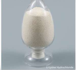 L-Lisina HCl Grado Alimentare, Integratore Nutrizionale di Aminoacidi, Purezza 98,5%, Polvere Bianca, Certificato ISO9001/Halal/Kosher - Product Image 2