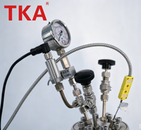 Reactor Tubular de Alta Presión TKA de 10ml-1000ml con Agitación Magnética de 800W 110V/220V para Síntesis Química en Laboratorio