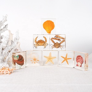 Ressource éducative de stock de spécimen de poisson en résine acrylique pour la biologie Outil d'enseignement des animaux marins réels - Product Image 3