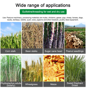 Đa chức năng động vật cừu gia súc thức ăn cỏ Chopper hay cỏ tươi rơm chaff cắt máy phay - Product Image 5