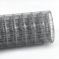 Rouleaux de grillage soudé galvanisé et plastifié, très demandés par les fabricants, pour l'élevage de poulets