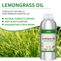 Huile de citronnelle en vrac, prix de gros, qualité cosmétique, huile pure de Cymbopogon Flexuosus, emballage en fût