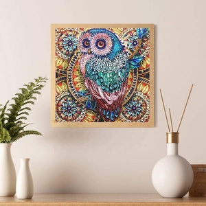 Peinture Diamant Animaux Hibou Cartoon 5D Forme Spéciale Cristal Diamant DIY 30x30 - Product Image 2