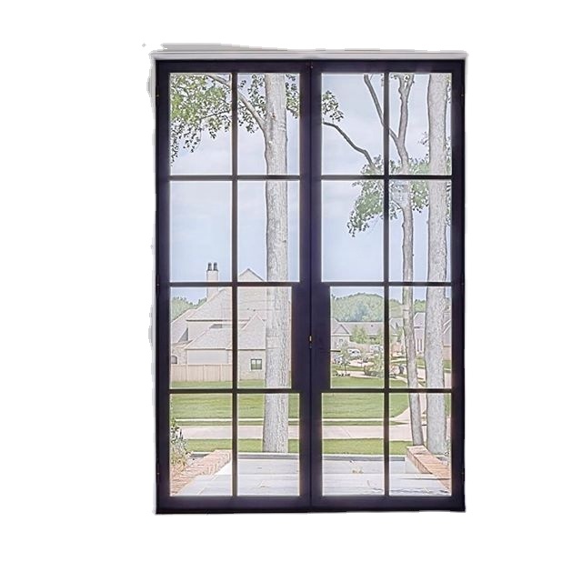 2023 Excellent Design Double Glazed Thermal Insulation Thermal Break Glass Steel Swing Graphic Design Glass Door 001 Waterproof