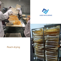Biltong Champignon Droogdroger Andere Voedselverwerkende Lijn Zeekomkommer Verse Draak Dehydrator Machines Fruit Droger Machine