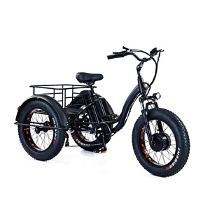 350W 500W 10A 15Ah <span class=keywords><strong>batterie</strong></span> au lithium 20*4 pouces gros pneu 3 roues tricycle <span class=keywords><strong>électrique</strong></span> <span class=keywords><strong>avec</strong></span> panier 3 roues <span class=keywords><strong>vélo</strong></span> cargo <span class=keywords><strong>électrique</strong></span> - Product Image 1