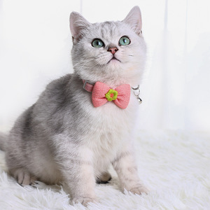 Lindo Collar de Gato con Lazo, Tamaño Mediano, Poliéster, Diseño Sólido, Ecológico, Duradero, Ajustable, Precio Económico - Product Image 5