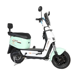 Bicicleta Eléctrica Deportiva Familiar de Lujo de 48V para Adultos con Motor Trasero sin Escobillas - Product Image 3