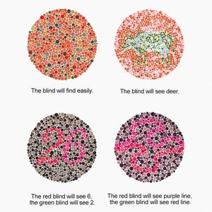 Gafas para Daltonismo 2022, Gafas Correctivas para Daltonismo Rojo-Verde para Hombre y Mujer, Montura TR90, Gafas de Sol para Daltonismo - Product Image 3