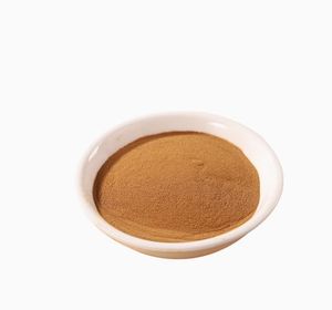 Polvo de extracto de hierbas orgánico de alta calidad, suplemento de hierbas Premium soluble en agua Hericium Erinaceus Premium - Product Image 2