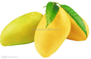Sıcak satış afrika vahşi <span class=keywords><strong>mango</strong></span> tohumu özü - Product Image 4