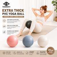 Ballon d'exercice mini en PVC personnalisé de 25 cm (8'') anti-éclatement pour Pilates, Yoga, entraînement d'équilibre et renforcement du tronc