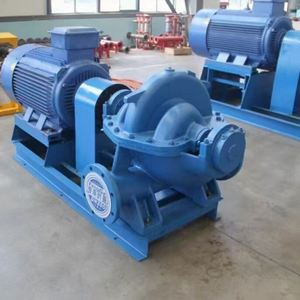 Agricultural Centrifugal <b>Pumps</b> Irrigation <b>Pump</b> Industrial Double <b>Suction</b> Split Case Electric Centrifugal Water <b>Pump</b> - Product Image 4