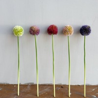 Fleur artificielle en plastique souple, faite à la main, haute simulation, naturelle, à tige unique, type Allium, Pissenlit, Mini Baie, Boule d'Oignon