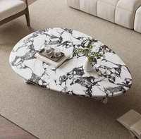 Table basse convertible en marbre pour salon, design moderne, forme ovale, rangement, durable, utilisation en appartement