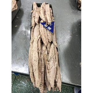 Frozen Skipjack di tonno surgelato, fornitore di tonni strizzacervelli precotti - Product Image 6