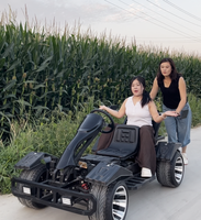 Go-Kart Eléctrico Biplaza de Primera Categoría con Ruedas de Aluminio de 10 Pulgadas, Go-Karts de Alta Velocidad para Adultos, Uso en Exteriores, Alcance de 50 km