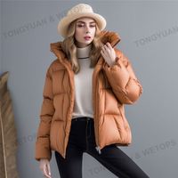 Manteau à bulles grande taille pour femme, doudoune, manteau d'hiver femme, manteaux d'hiver, vêtements chauds à la mode, doudoune