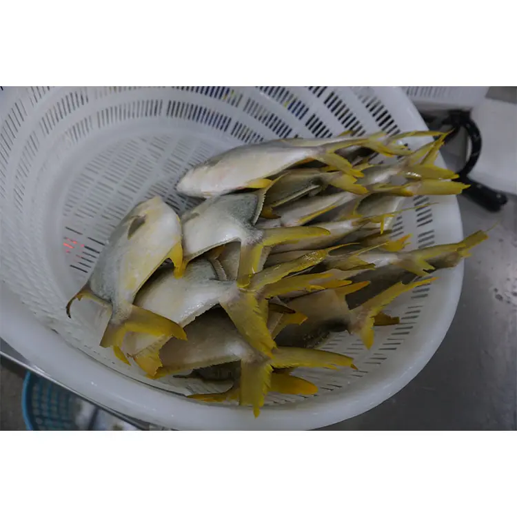 Organic Golden Pompano Fish Low-Fat Whole Piece IQF Frozen Boxed Seafood Dried Style for Sale