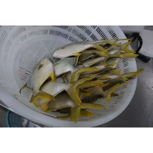 Hữu Cơ Vàng Pompano Cá Cấp-Chất Béo Toàn Bộ Mảnh Iqf Đông Lạnh Đóng Hộp Hải Sản Khô Phong Cách Cho Bán