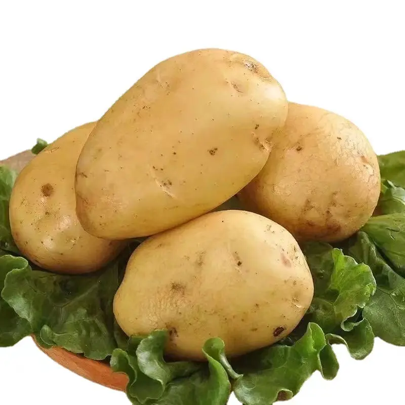 Vente en gros de pommes de terre fraîches de qualité supérieure certifiées nutritionnelles blanches et rouges