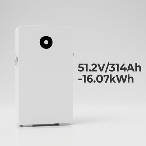 Batterie LiFePO4 à semi-conducteurs montée sur rack RW-F16 PRO-B basse tension 51,2 V/314 Ah -16,07 kWh, 6000 cycles, température de fonctionnement de -20 à 55 °C - Product Image 1