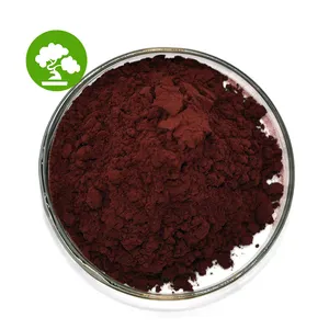 Factory Supply 95% Natural Grape Seed Extract OPC Grape Seed Extract Powder