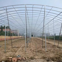Vente en Gros Grande Serre Agricole Tropicale Intelligente de 500m² en Tunnel, Structures de Serre pour la Culture de Tomates et Jardins Potagers