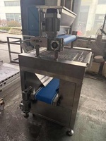 Machine automatique de distribution de noix de 600 mm, machine à saupoudrer de noix concassées pour les produits chocolatés