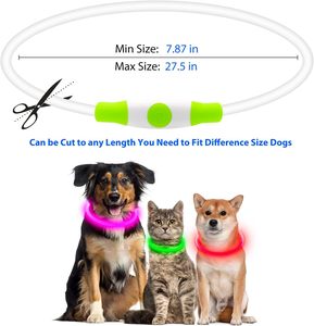 Colliers LED pour chiens, accessoires pour animaux de compagnie, rechargeables par USB, avec design lumineux, collier clignotant réglable, LED pour chiens - Product Image 4