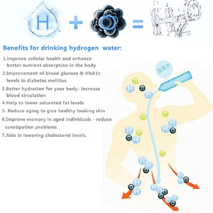 Filtre à eau pour générateur d'eau alcaline 430 ml, ioniseur portable pour eau riche en hydrogène, électrolyse pure - Product Image 4