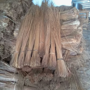 EN VENTA PALOS DE ESCOBA DE COCO/VENTA ENTERA DIRECTA/DIFERENCIA TAMAÑO - Product Image 1