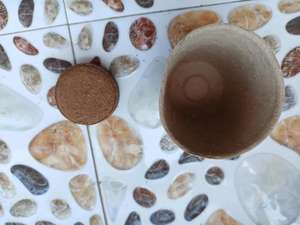 Hindistan cevizi Fiber Coir pelet besin toprak hafif bitki sıkıştırılmış taban bahçe - Product Image 5