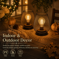 Lanterne de camping LED portable, alimentée par batterie, flexible, écologique, style vintage rétro, lumière d'ambiance simple pour l'extérieur, tente, patio, jardin