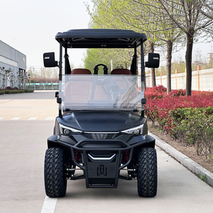 Carrito de Golf Eléctrico de 6 Plazas para Turismo Panorámico, Precio Económico, Techo Personalizable para Parques Acuáticos y Turismo Ecológico - Product Image 1