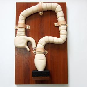 Koloskopie Prüfung Ausbildung Modell Dickdarm Simulator - Product Image 2