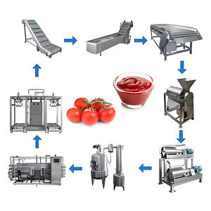 Lignes de transformation alimentaire haute performance pour la production de sirop et de confiture pour la confiture de framboises et autres confitures de fruits - Product Image 3