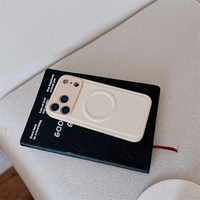 Étui de téléphone magnétique en cuir litchi de luxe, couleur unie, simple, pour iPhone 18 Pro, 17 Air, 16, 15, 14 Plus, 13, 12 Pro Max