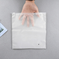 Bolsas de Plástico Esmerilado con Cierre Zip, Impresas en Huecograbado Personalizado, de LDPE Reciclable, de una Sola Cara y un Solo Color, para Zapatos