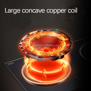 Bếp điện đa năng 2 vùng nấu, bếp từ lõm, bếp hồng ngoại, bếp nấu có hẹn giờ trong nhà bếp - Product Image 3