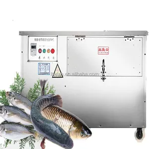 Découpeuse automatique de poisson de tilapia/machines de traitement de poisson/écailleur électrique de poisson