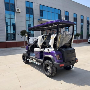 Voiturette de golf électrique tout-terrain 72V 48V à prix abordable, en métal, modèle Club Car et voiturette de golf – Meilleures ventes - Product Image 3