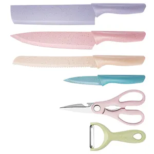 Set di coltelli da cucina per chef in acciaio inossidabile colorato personalizzato 6 pezzi con confezione regalo