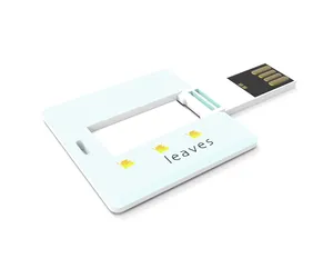 USB Business Cards Flash Drive Memory Stick Card Mini Pen Drive 2 GB Credit Card USB
